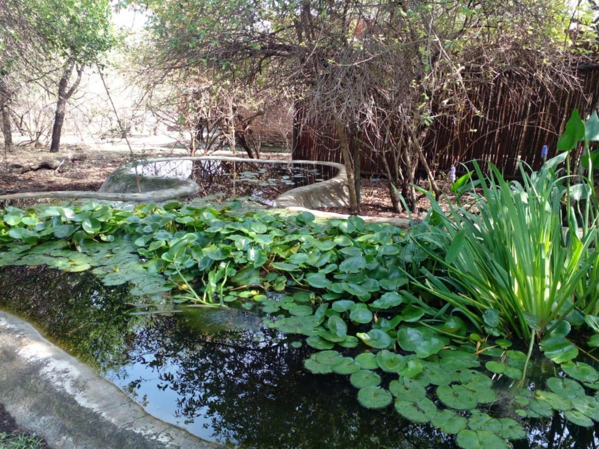 Homebase Kruger Marloth Park Exterior photo
