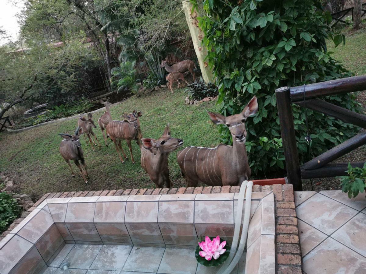 Homebase Kruger Marloth Park Exterior photo